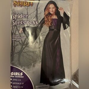 Spider Sorceress/witch costume